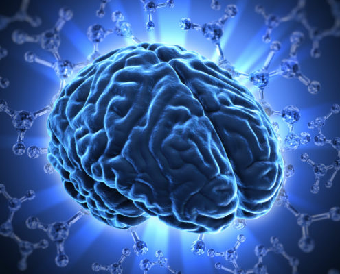 Researcher's Identify why Humans Have the Largest Cerebral Cortex - Health Council Researcher's Identify why Humans Have the Largest Cerebral Cortex - Health Council